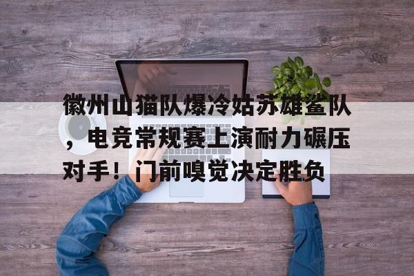 金年会客户端下载徽州山猫队爆冷姑苏雄鲨队,电竞常规赛上演耐力碾压对手!门前嗅觉决定胜负的简单介绍
